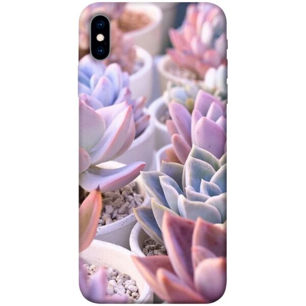 

Чехол itsPrint Эхеверия 2 для Apple iPhone X (5.8")