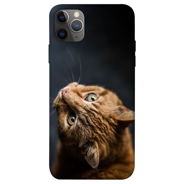 

Чехол itsPrint Рыжий кот для Apple iPhone 12 Pro Max (6.7")