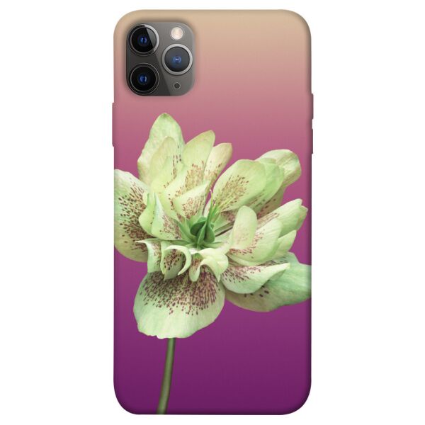 

Чехол itsPrint Розовый пурпур для Apple iPhone 12 Pro (6.1")