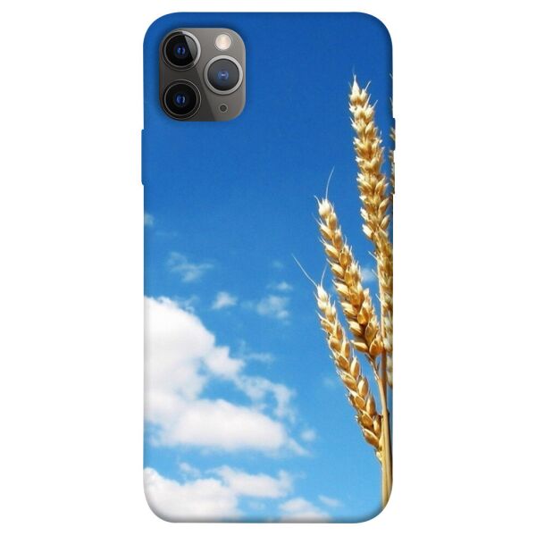 

Чехол itsPrint Пшеница для Apple iPhone 12 Pro Max (6.7")