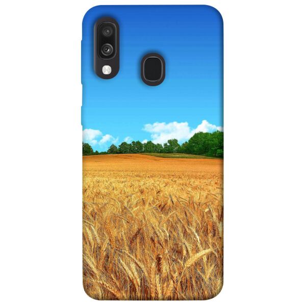 

Чехол itsPrint Пшеничное поле для Samsung Galaxy A40 (A405F)
