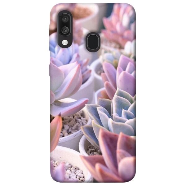 

Чехол itsPrint Эхеверия 2 для Samsung Galaxy A40 (A405F)