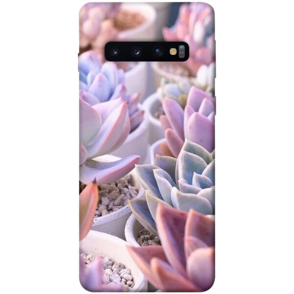 

Чехол itsPrint Эхеверия 2 для Samsung Galaxy S10