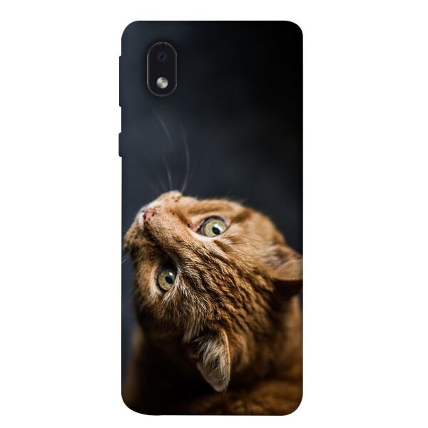 

Чехол itsPrint Рыжий кот для Samsung Galaxy M01 Core / A01 Core