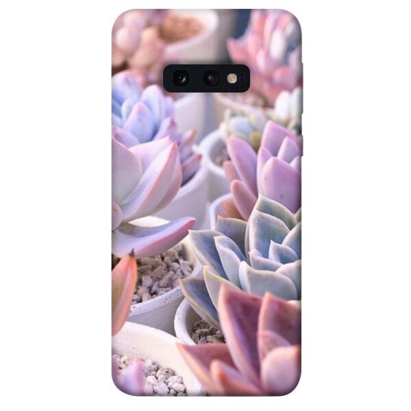 

Чехол itsPrint Эхеверия 2 для Samsung Galaxy S10e