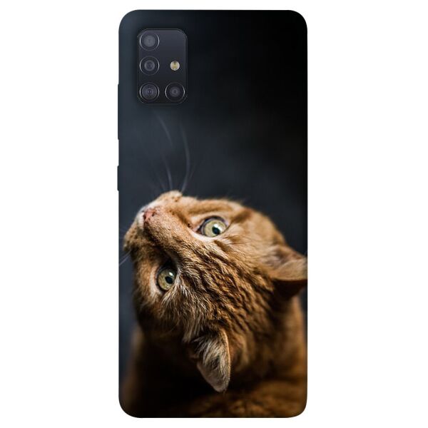 

Чехол itsPrint Рыжий кот для Samsung Galaxy M51