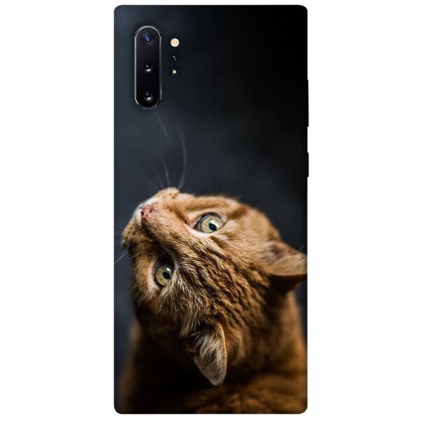 

Чехол itsPrint Рыжий кот для Samsung Galaxy Note 10 Plus