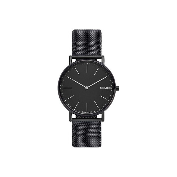 

Часы Skagen SKW6484