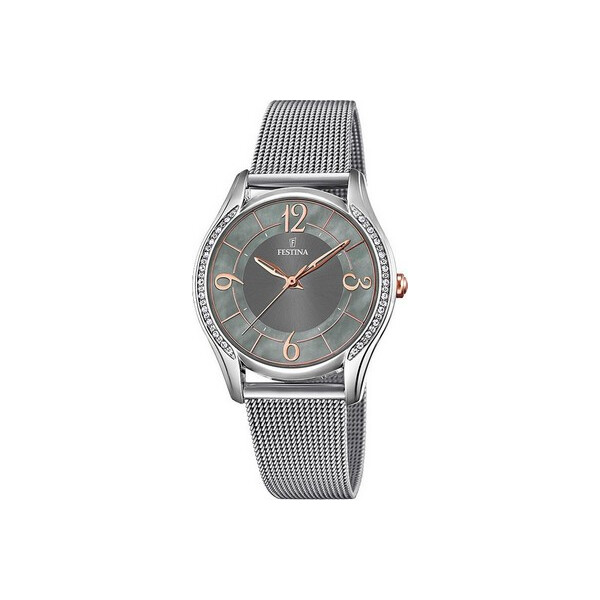 

Часы Festina F20420-2