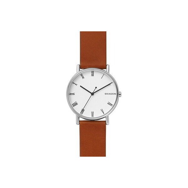 

Часы Skagen SKW6427