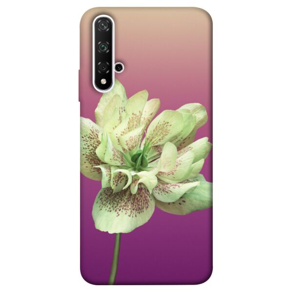 

Чехол itsPrint Розовый пурпур для Huawei nova 5T