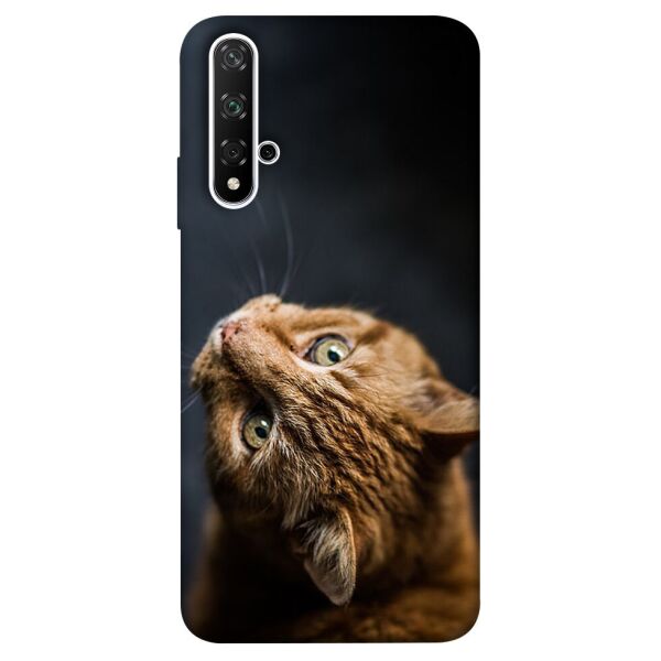 

Чехол itsPrint Рыжий кот для Huawei nova 5T