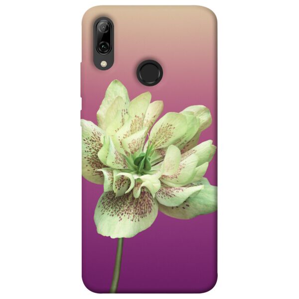 

Чехол itsPrint Розовый пурпур для Huawei P Smart (2019)