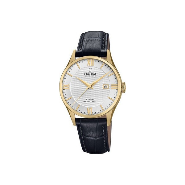 

Часы Festina F20010-2