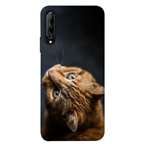 

Чехол itsPrint Рыжий кот для Huawei P Smart Pro / Honor 9X (China)