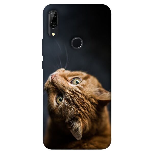 

Чехол itsPrint Рыжий кот для Huawei P Smart Z