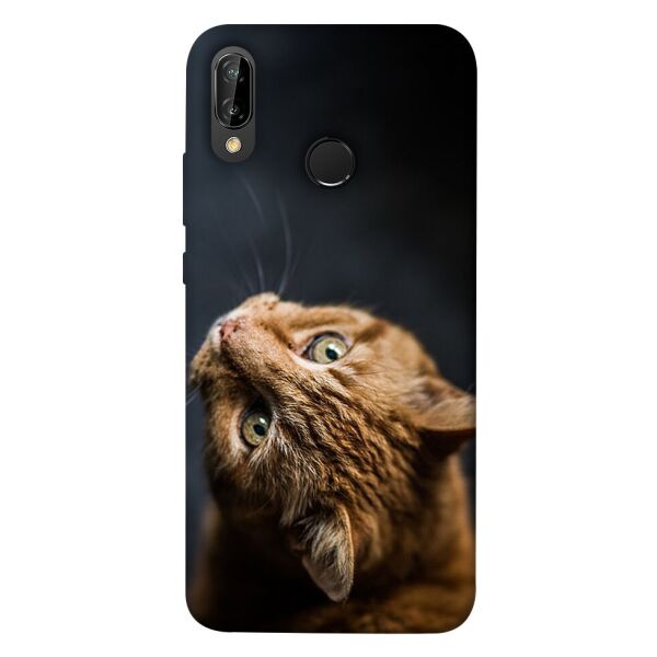 

Чехол itsPrint Рыжий кот для Huawei P20 lite (2019)