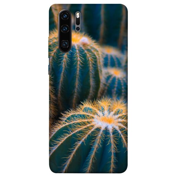 

Чехол itsPrint Кактусы для Huawei P30 Pro