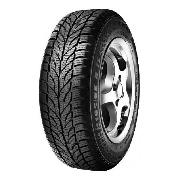 

Автомобильные шины Paxaro Winter 225/45 R17 91H FR