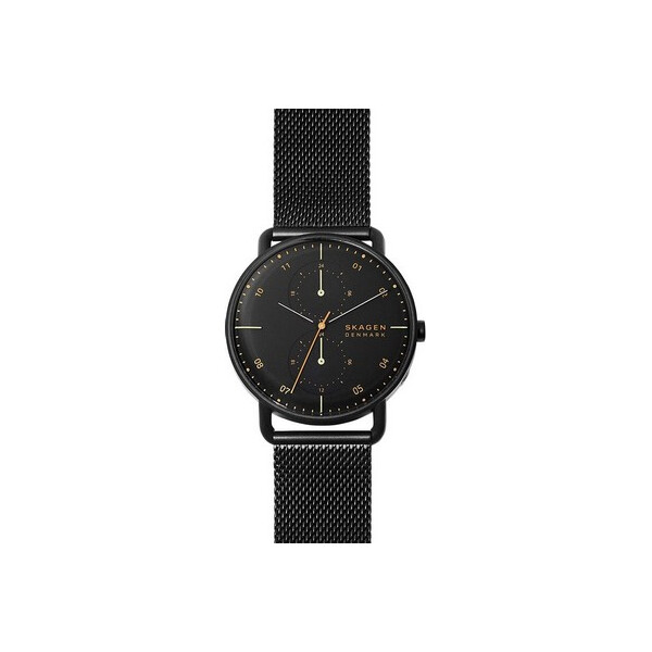 

Часы Skagen SKW6538