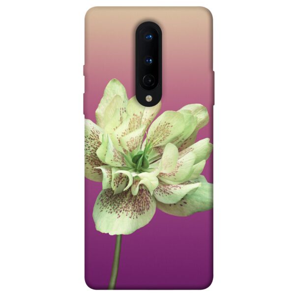 

Чехол itsPrint Розовый пурпур для OnePlus 8
