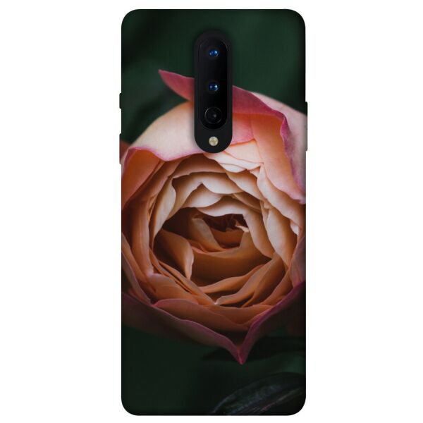 

Чехол itsPrint Роза остин для OnePlus 8