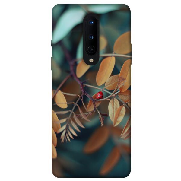 

Чехол itsPrint Божья коровка для OnePlus 8