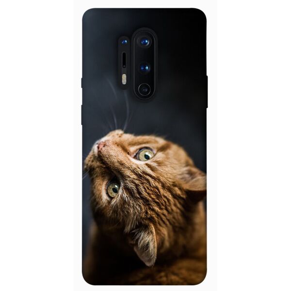 

Чехол itsPrint Рыжий кот для OnePlus 8 Pro