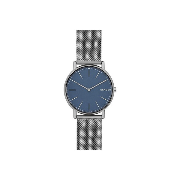 

Часы Skagen SKW6420