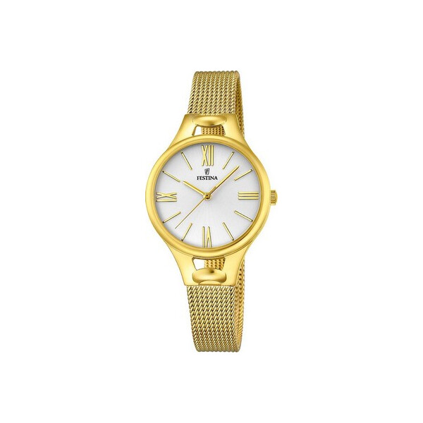 

Часы Festina F16951-1