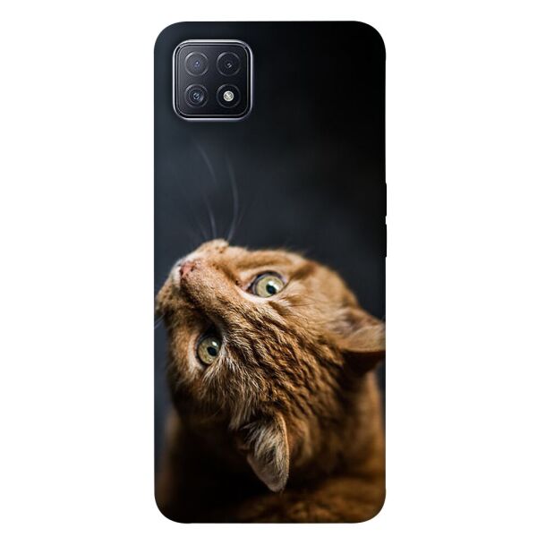 

Чехол itsPrint Рыжий кот для Oppo A73