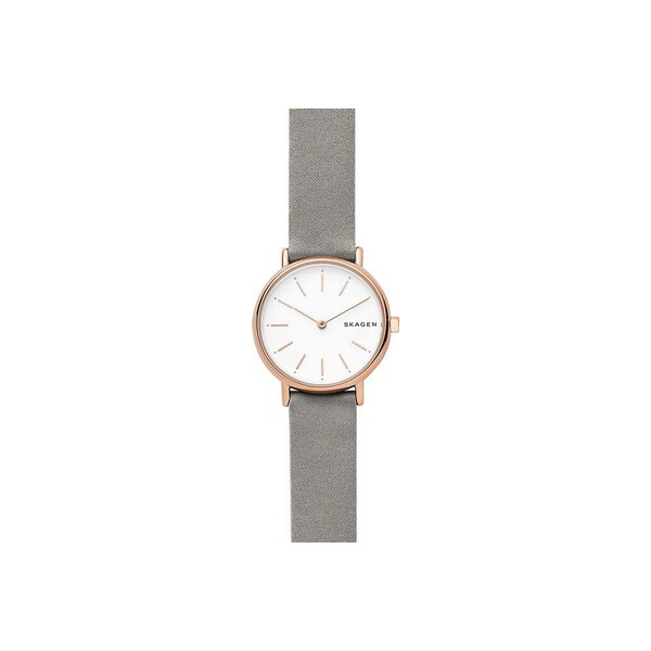 

Часы Skagen SKW2697