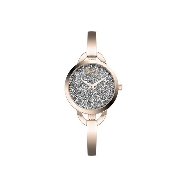 

Часы Pierre Ricaud P22042.9104Q
