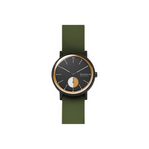

Часы Skagen SKW6541