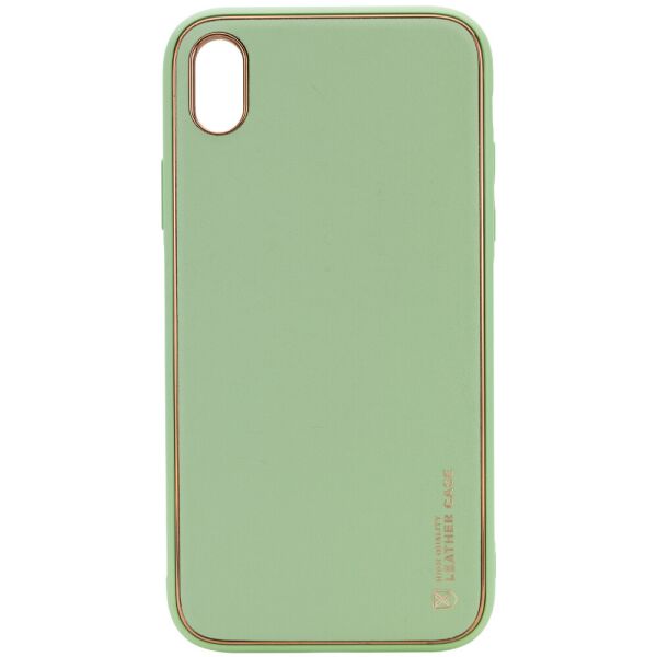 

Кожаный чехол Xshield для Apple iPhone X / XS (5.8") Зеленый / Pistachio