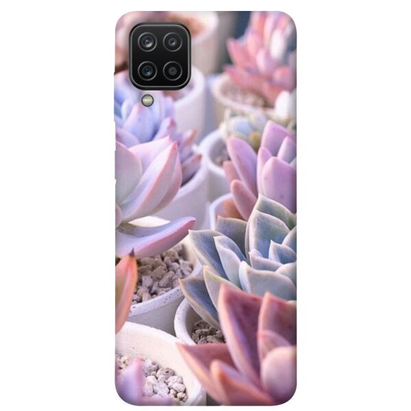 

Чехол itsPrint Эхеверия 2 для Samsung Galaxy A12