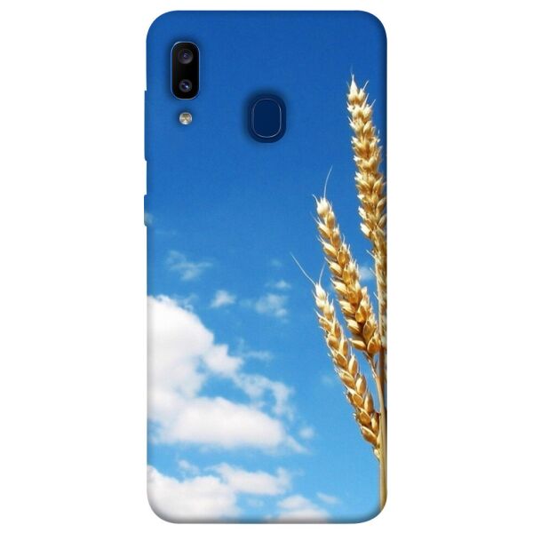 

Чехол itsPrint Пшеница для Samsung Galaxy A20 / A30