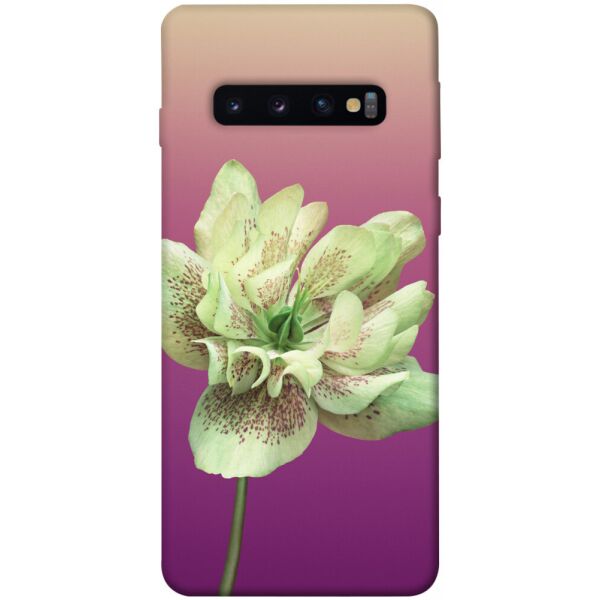 

Чехол itsPrint Розовый пурпур для Samsung Galaxy S10