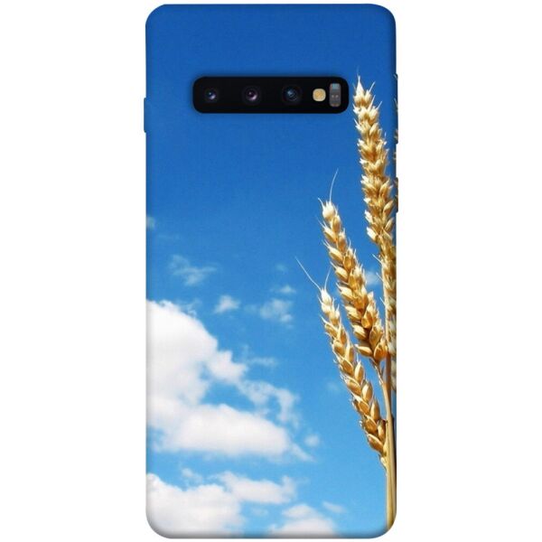 

Чехол itsPrint Пшеница для Samsung Galaxy S10