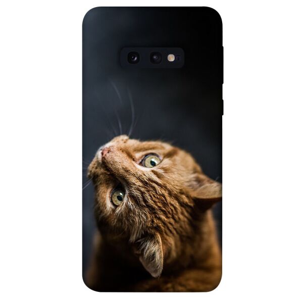 

Чехол itsPrint Рыжий кот для Samsung Galaxy S10e