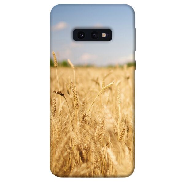 

Чехол itsPrint Поле пшеницы для Samsung Galaxy S10e