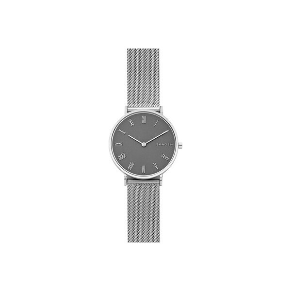 

Часы Skagen SKW2677