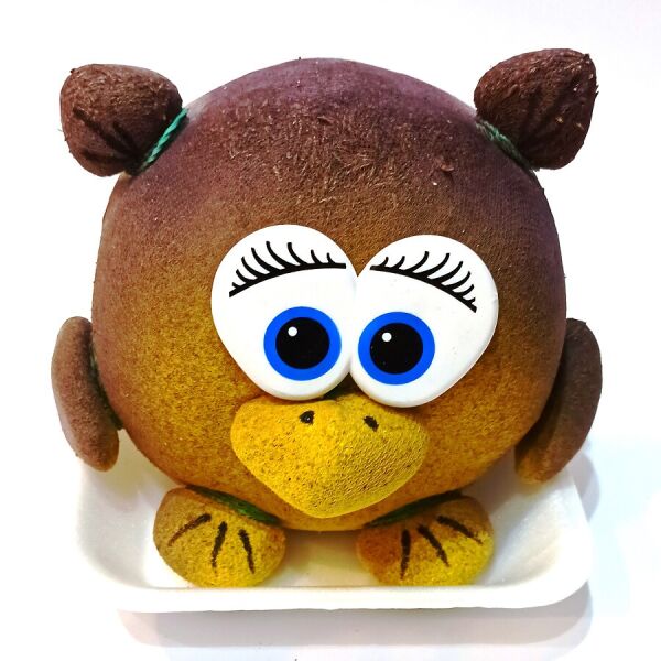 

Набор для выращивания Травянчик Совунья (Насіння країни)