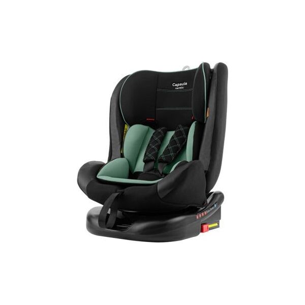 

Автокресло Carrello Capsula Olive Green (CRL-11807)