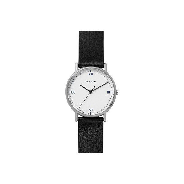 

Часы Skagen SKW6412