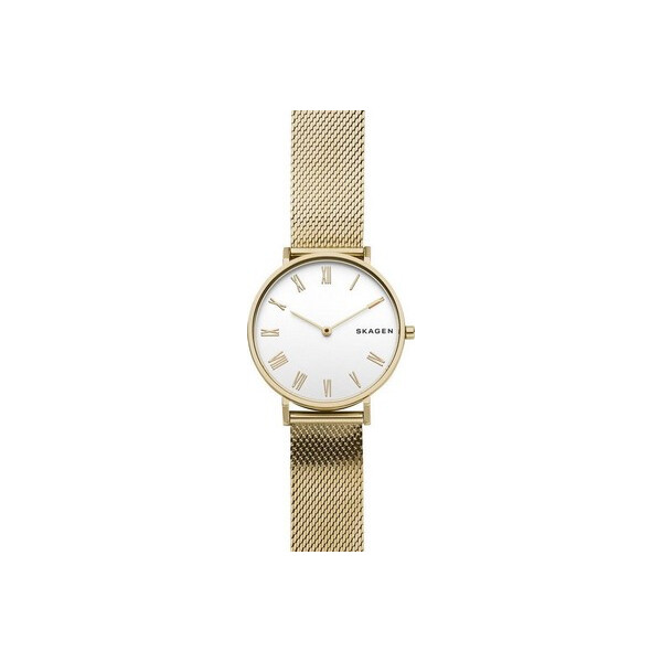 

Часы Skagen SKW2713