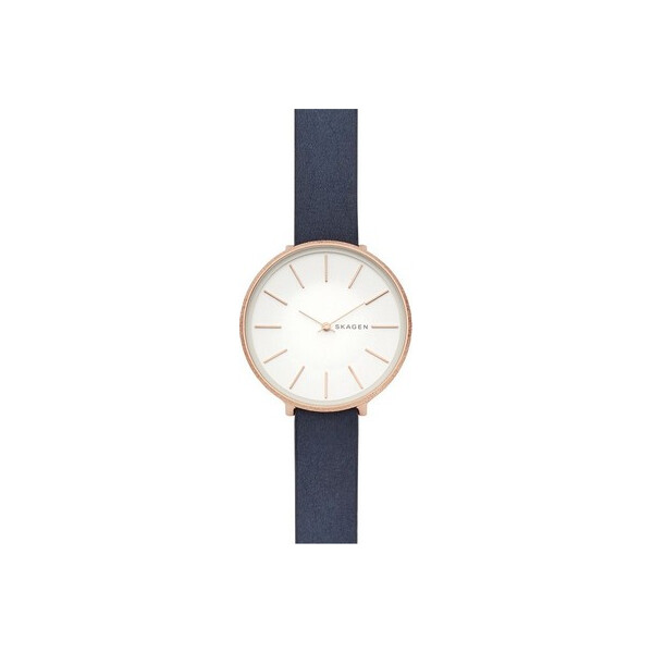 

Часы Skagen SKW2723