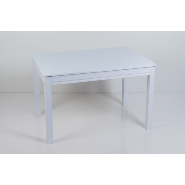 

Стол обеденный Сан Ремо 1200*800*760 мм Черный с белым