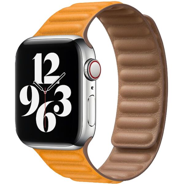 

Ремешок Promate Maglet-44 для Apple Watch 42-44 мм 1/2/3/4/5/6/SE California Poppy (maglet-44.californiapoppy)