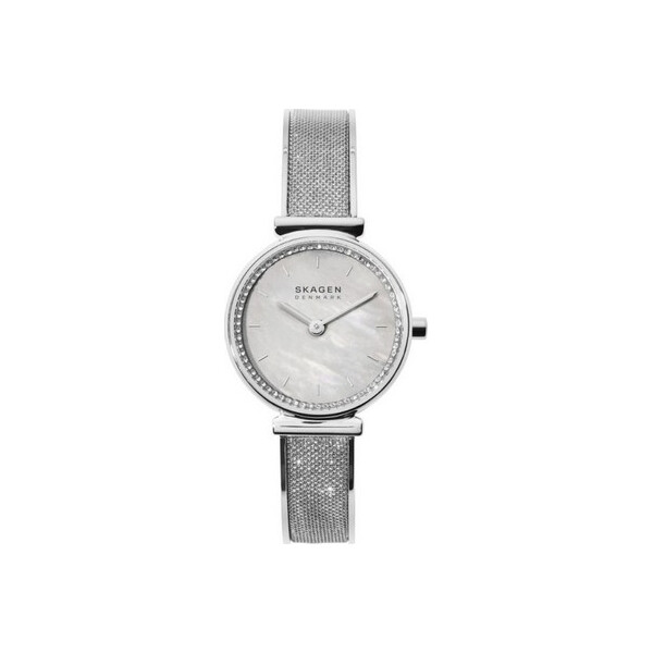 

Часы Skagen SKW2793